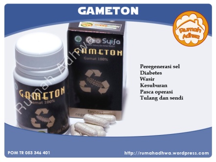 Gameton
