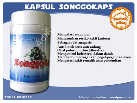 Kapsul SonggoKaps